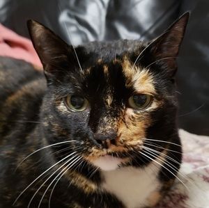 Meet your Posher, George